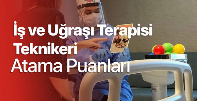 is-ve-ugrasi-terapisi-teknikeri-atama-puanlari