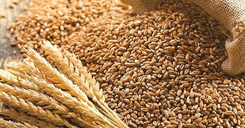 Hint Sürmesi Hastalığı Bulaşıcı Mıdır?