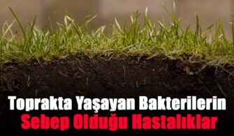 Toprakta Yaşayan Bakterilerin Sebep Olduğu Hastalıklar