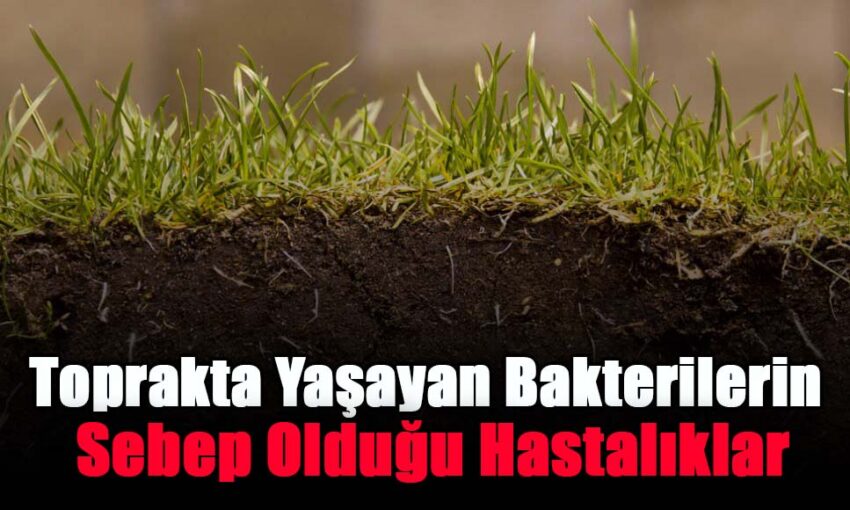 Toprakta Yaşayan Bakterilerin Sebep Olduğu Hastalıklar