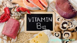 B12 Nelerde Bulunur 